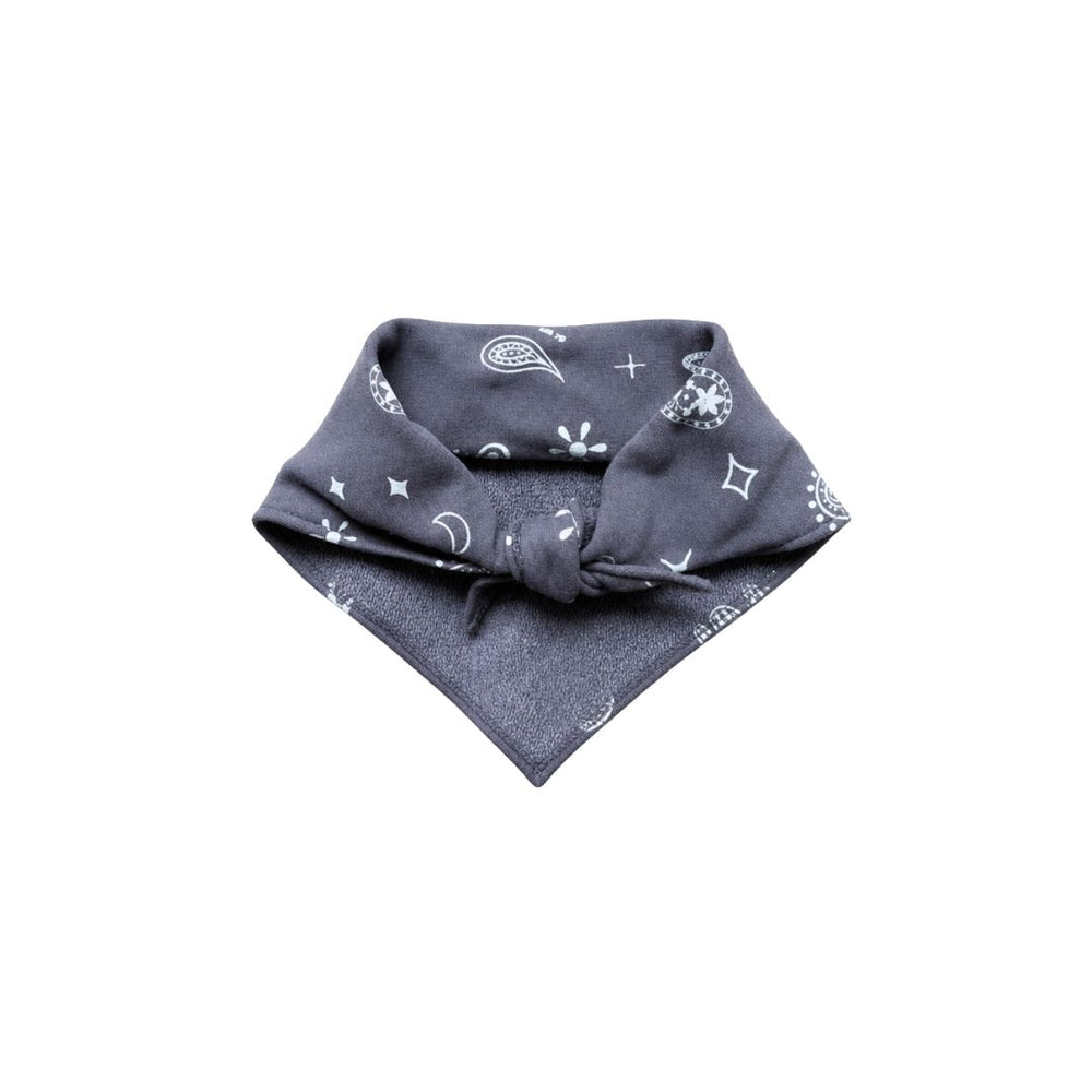 SCARF PAISLEY / turbulence