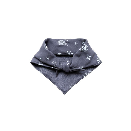 SCARF PAISLEY / turbulence