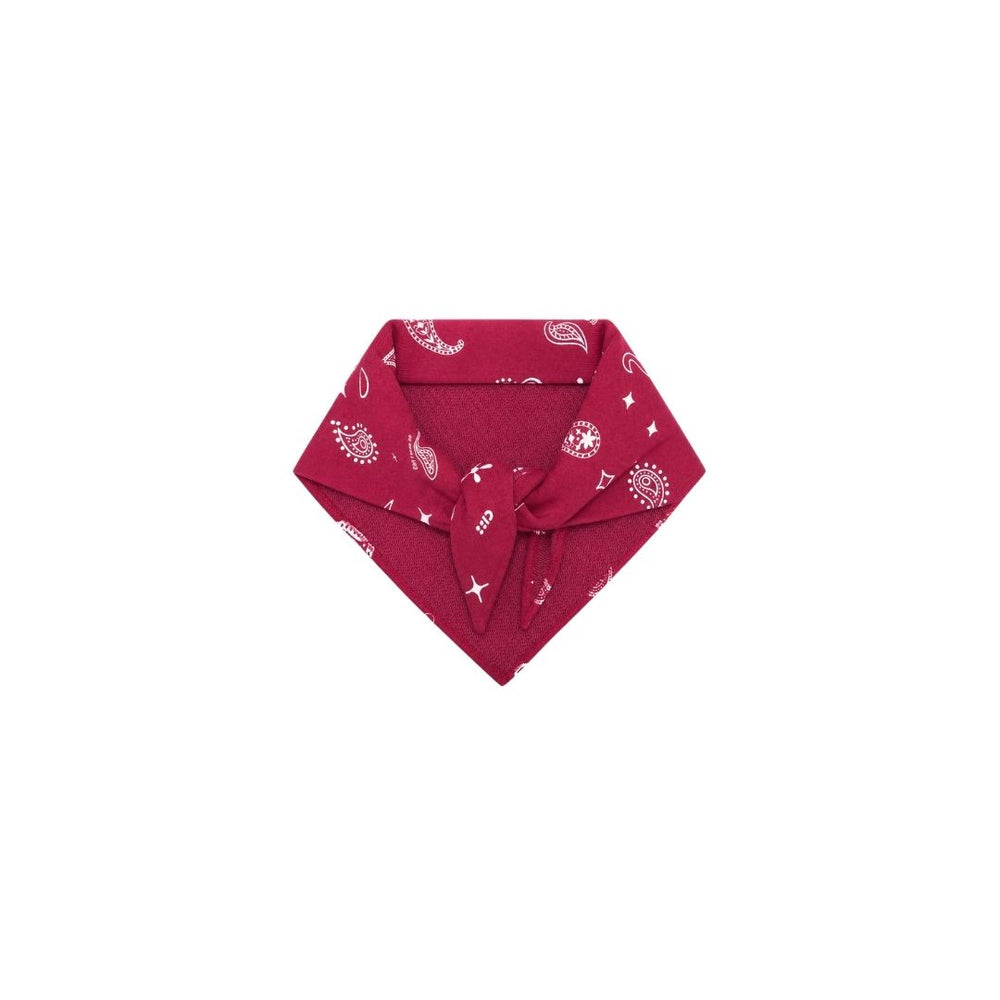 SCARF PAISLEY / red