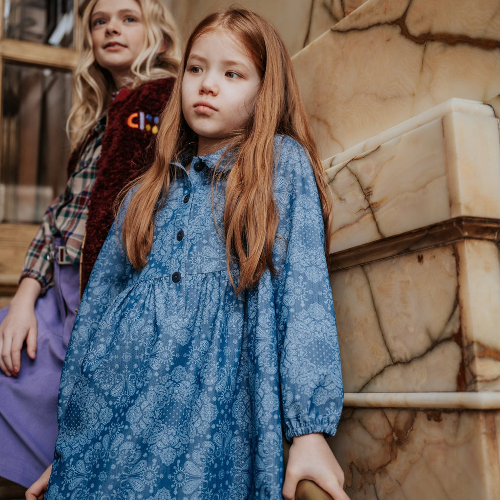 DRESS paisley