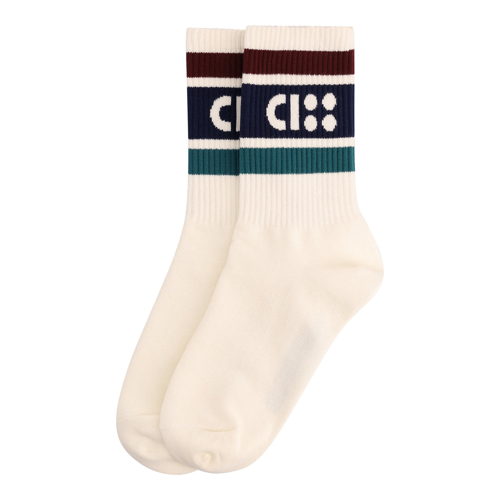 SOCKS Logo