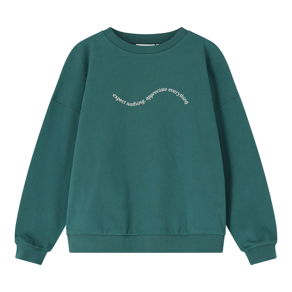 SWEATER Expect nothing