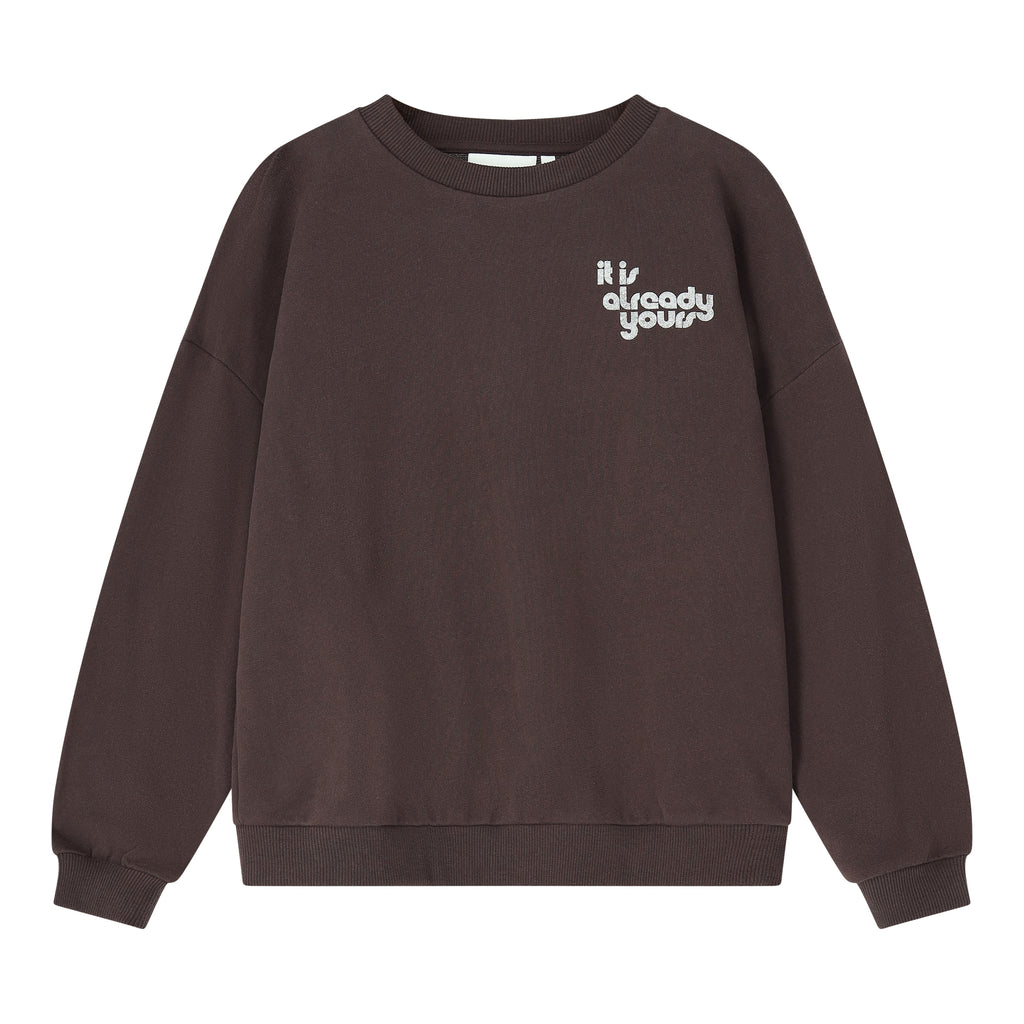 SWEATER It is already yours - chocolat